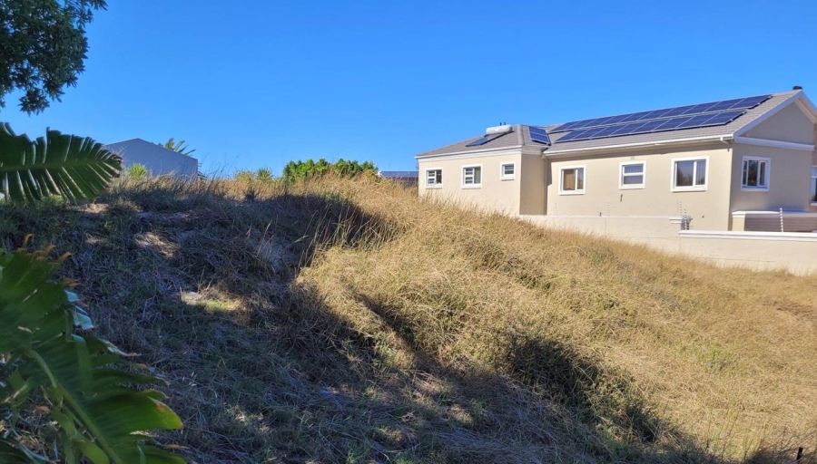 0 Bedroom Property for Sale in Flamingo Vlei Western Cape